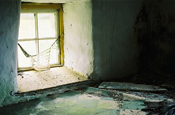"Window"