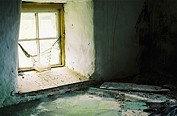 "Window"