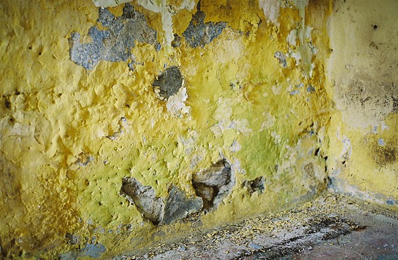"Yellow Wall"